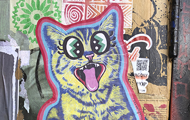 Colourful cat graffiti