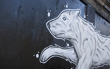 Graff bear on wall